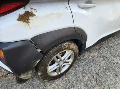 2020 Hyundai Kona KMHK2817GLU485450 VIN:KMHK2817GLU485450