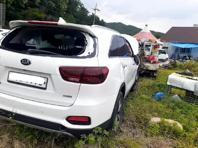 2019 Kia Sorento 657KMKNAPG81ABKA5 VIN:657KMKNAPG81ABKA5