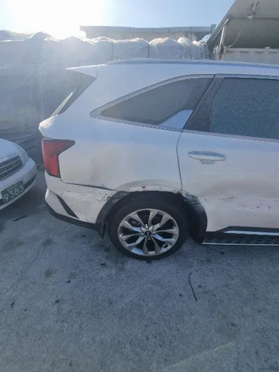 2021 Kia Sorento KNARL81BGMA022582 VIN:KNARL81BGMA022582