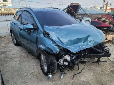 2018 Hyundai Kona KMHK4815GJU216703 VIN:KMHK4815GJU216703