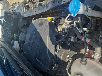 2021 Kia Carnival KNANB81BBMS120358 VIN:KNANB81BBMS120358