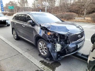2016 Kia Sorento KNAPH81ABGA158998 VIN:KNAPH81ABGA158998