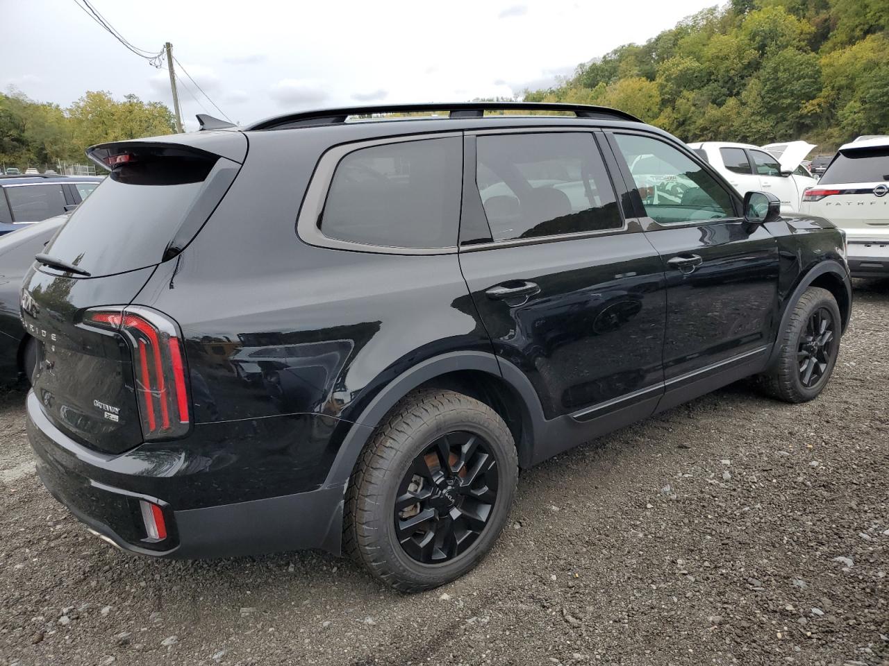 2024 KIA TELLURIDE SX VIN:5XYP5DGC4RG464827