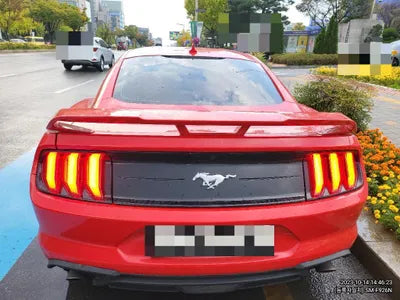 2020 Ford Mustang 600KM1FA6P8THXL51 VIN:600KM1FA6P8THXL51