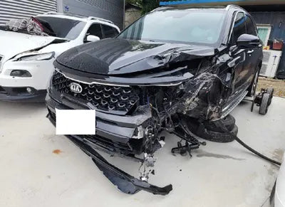 2021 Kia Sorento KNARH81BGMA029937 VIN:KNARH81BGMA029937