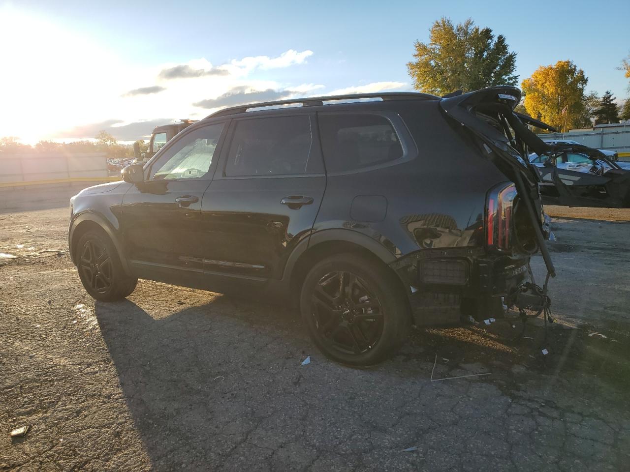 2024 KIA TELLURIDE SX VIN:5XYP5DGC6RG478325