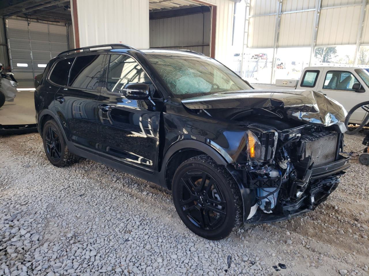 2024 KIA TELLURIDE SX VIN:5XYP5DGC9RG474012