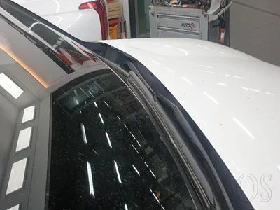 2021 Hyundai Santa FE KMHS281HGMU344697 VIN:KMHS281HGMU344697