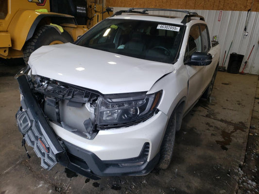 2024 HONDA RIDGELINE TRAIL SPORT VIN:5FPYK3F64RB005752