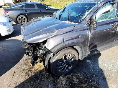 2019 Hyundai Santa FE KMHS281BBKU157211 VIN:KMHS281BBKU157211