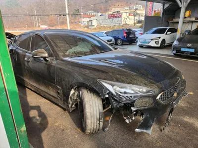 2023 Kia Stinger KNAE351DDPS131088 VIN:KNAE351DDPS131088