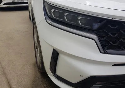 2023 Kia Sorento KNARF81FHPA191709 VIN:KNARF81FHPA191709