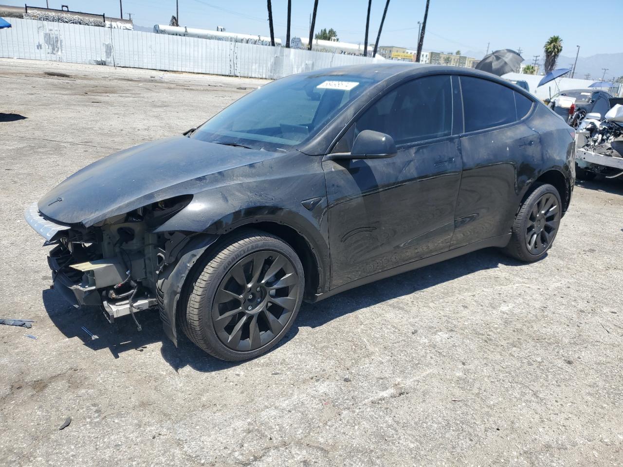 2023 TESLA MODEL Y  VIN:7SAYGDEE0PF815548