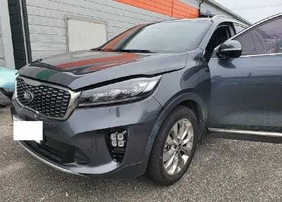 2019 Kia Sorento KNAPK81BDKA497075 VIN:KNAPK81BDKA497075