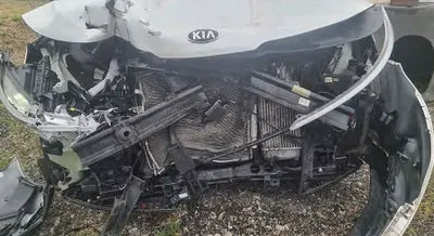 2021 Kia Carnival KNANB81BBMS026208 VIN:KNANB81BBMS026208