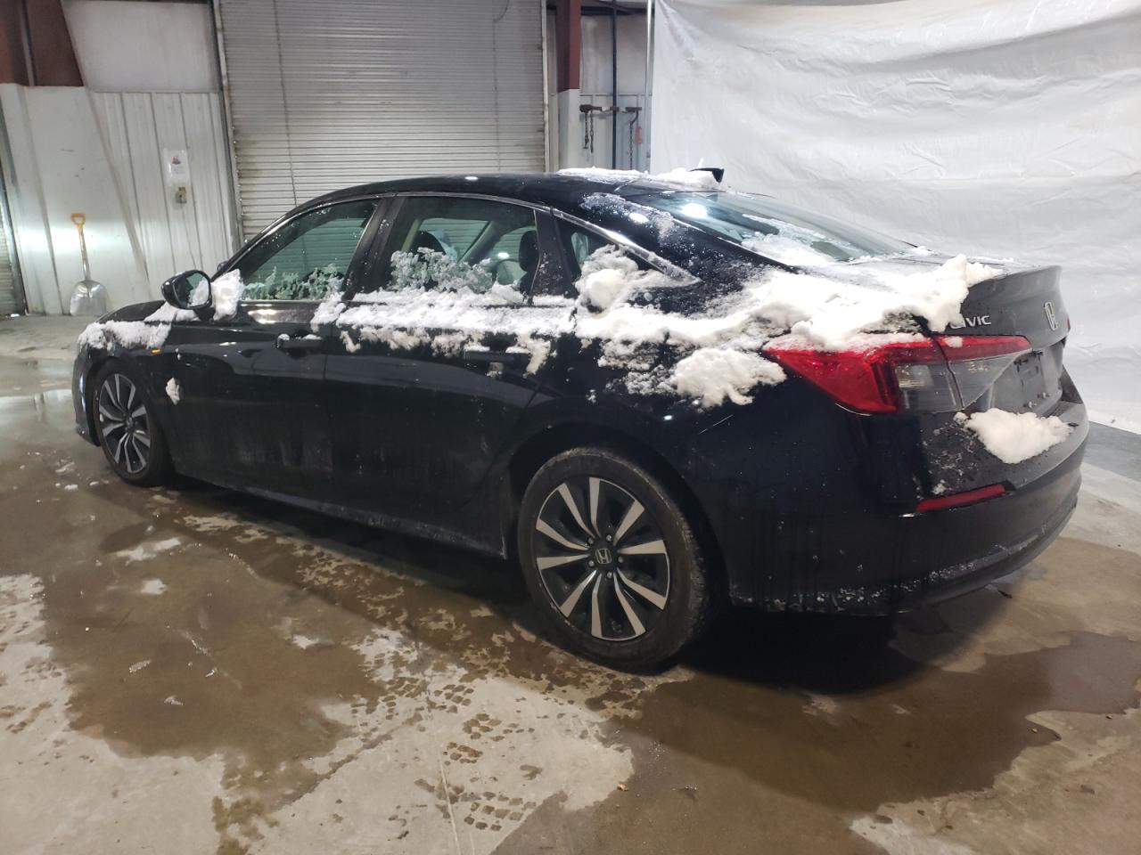2023 HONDA CIVIC EX VIN:3N1AB7AP0HY355967