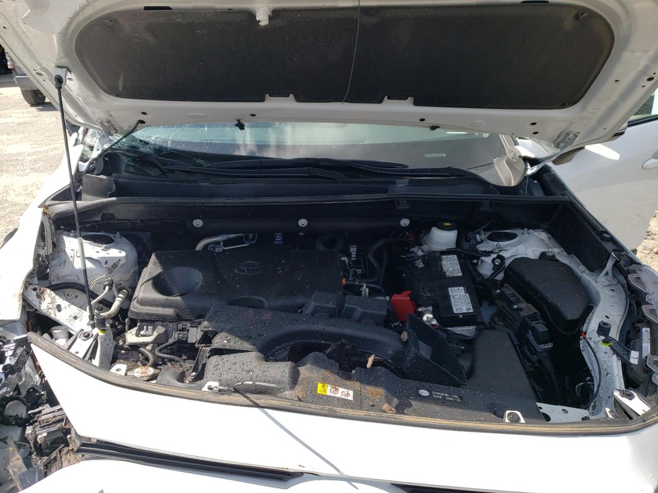 2023 TOYOTA RAV4 XLE VIN:2T3W1RFV3PW248604