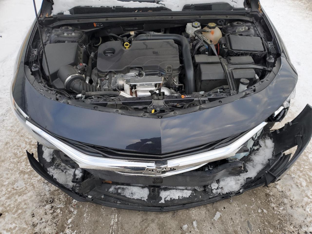 2023 CHEVROLET MALIBU LT VIN:1G1ZD5ST6PF120689