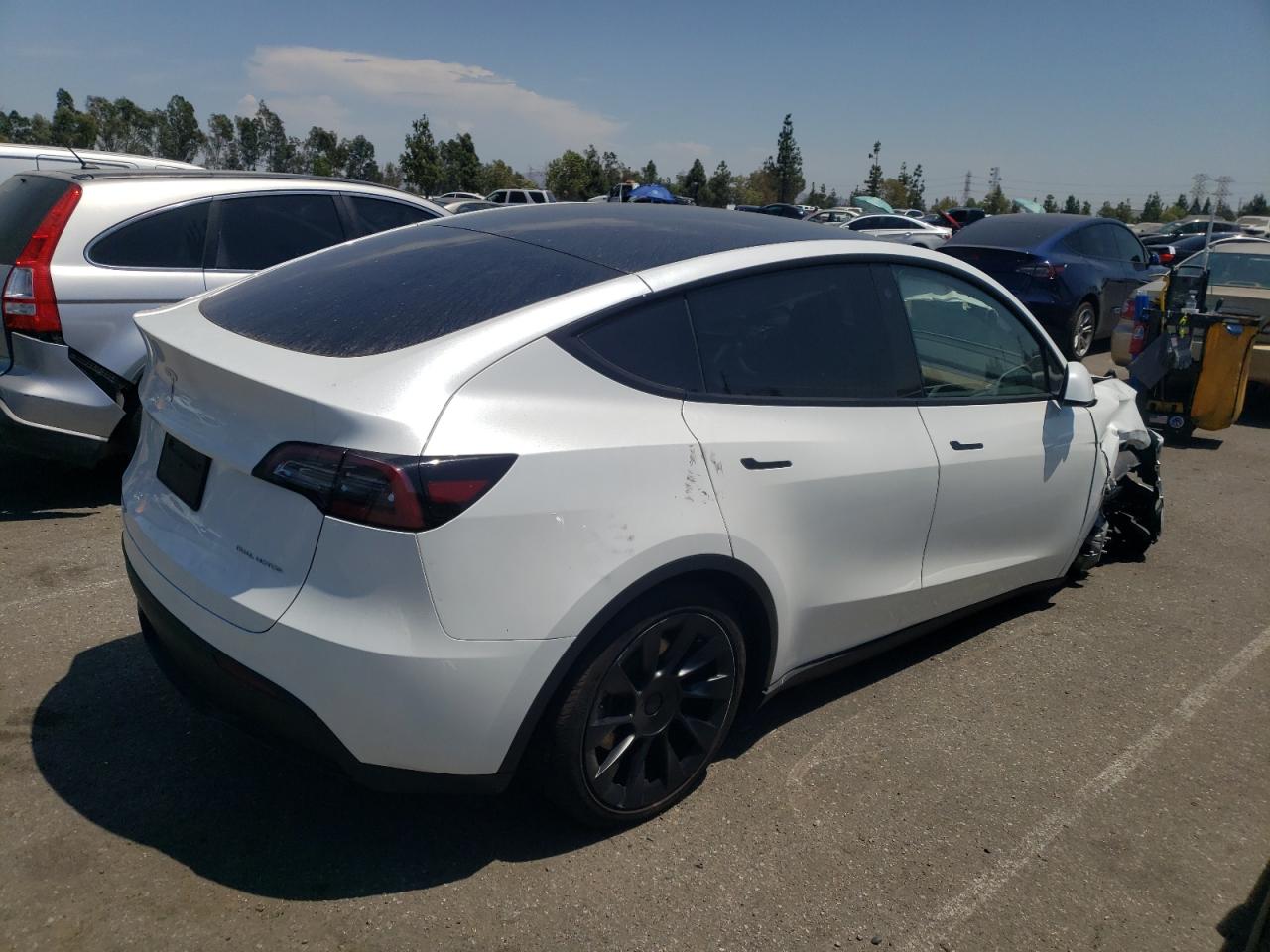 2023 TESLA MODEL Y  VIN:WP0AA2A8XNS255297