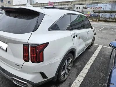 2023 Kia Sorento KNARL81GBPA135233 VIN:KNARL81GBPA135233