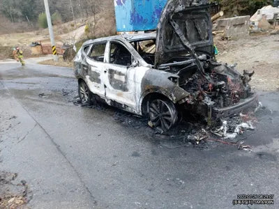 2017 Hyundai Santa FE KMHSW81UBJU806107 VIN:KMHSW81UBJU806107