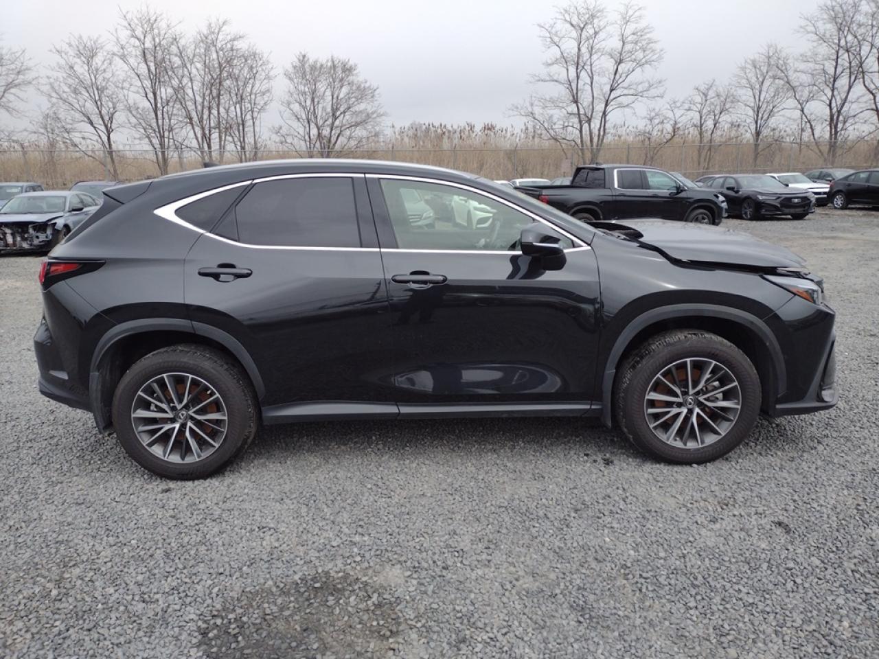 2022 LEXUS NX 250 VIN:JTJADCAZ6N2001315