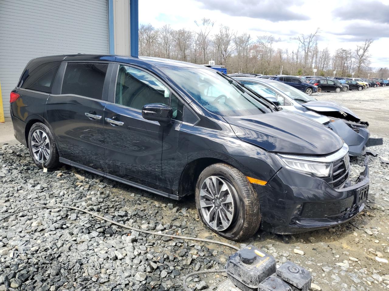 2023 HONDA ODYSSEY EXL VIN:5FNRL6H6XPB046117