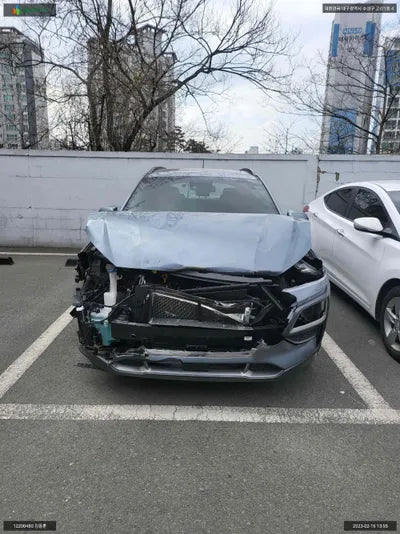 2017 Hyundai Kona KMHK4815HJU011569 VIN:KMHK4815HJU011569