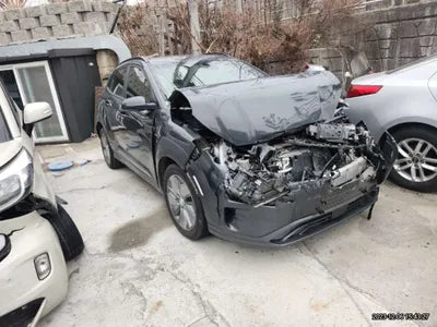 2019 Hyundai Kona KMHK381GFKU060030 VIN:KMHK381GFKU060030