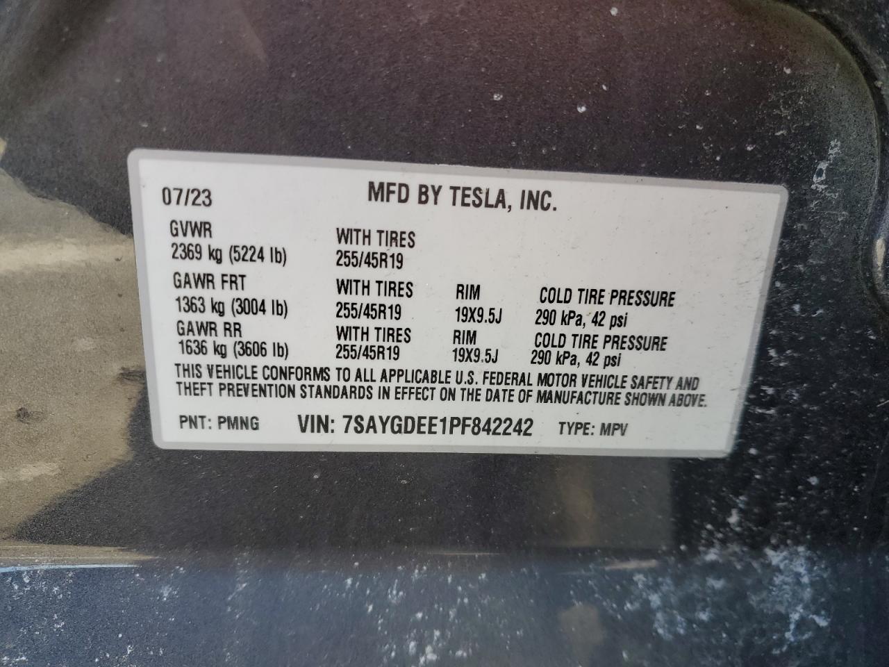 2023 TESLA MODEL Y  VIN:7SAYGDEE1PF842242
