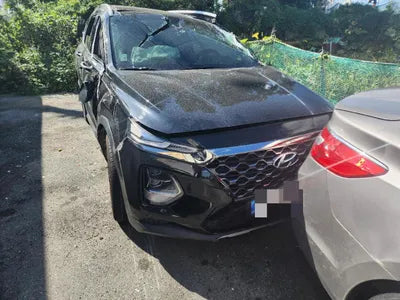 2019 Hyundai Santa FE KMHS381CBKU167269 VIN:KMHS381CBKU167269