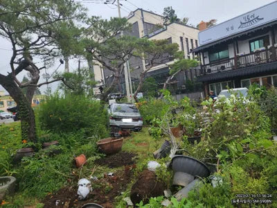 2020 BMW 740 WBA7T410XLCE40015 VIN:WBA7T410XLCE40015