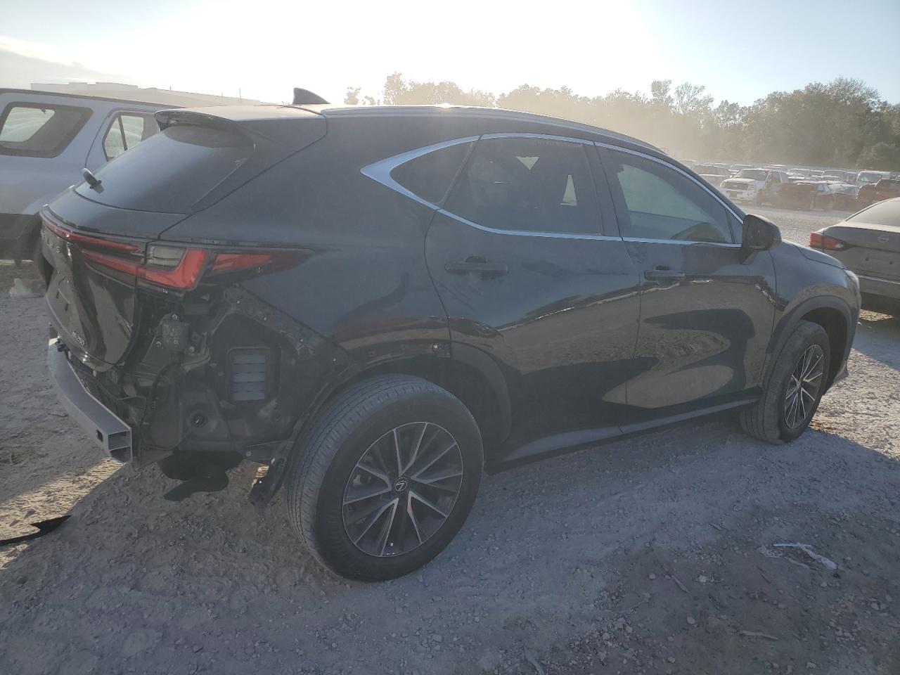 2024 LEXUS NX 250 BASE VIN:2T2ADCAZ3RC007806