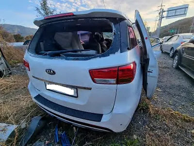 2017 Kia Carnival KNAMC81ABHS315244 VIN:KNAMC81ABHS315244