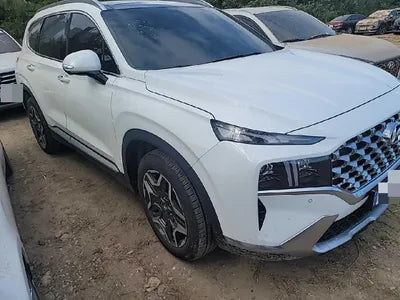 2021 Hyundai Santa FE KMHS381HGMU310312 VIN:KMHS381HGMU310312