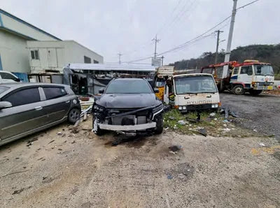 2023 Kia Sorento KNARL81GBPA133236 VIN:KNARL81GBPA133236
