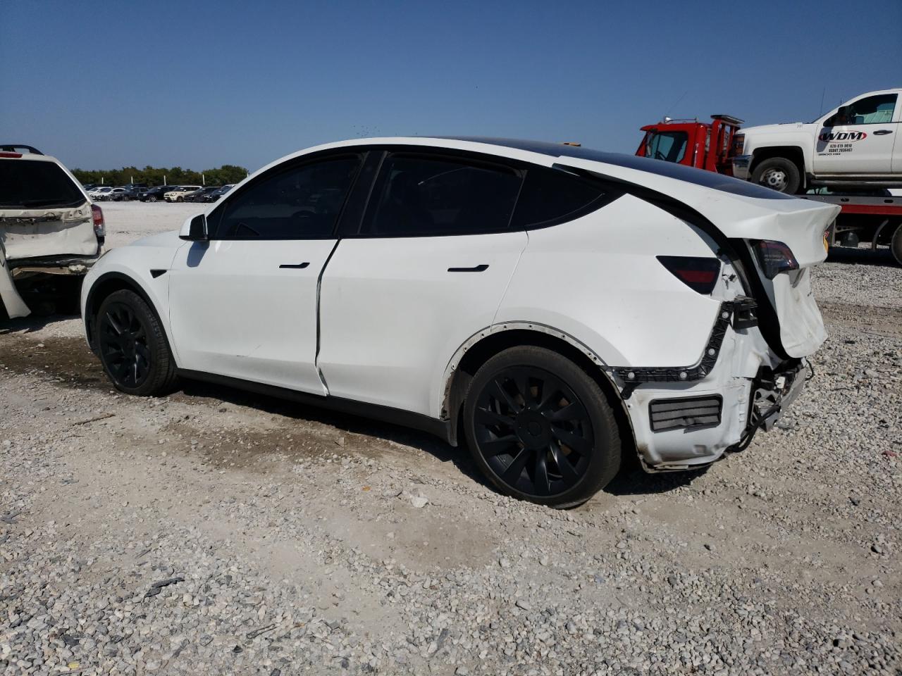 2023 TESLA MODEL Y  VIN:7SAYGAEE9PF626301
