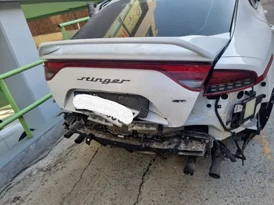 2023 Kia Stinger KNAE551CBPS125163 VIN:KNAE551CBPS125163