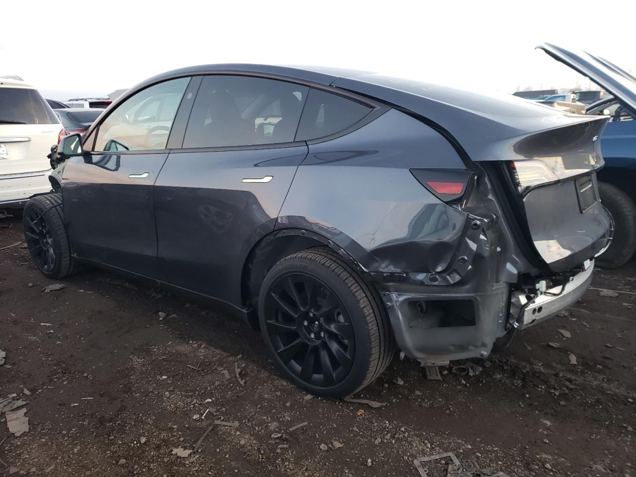 2023 TESLA MODEL Y  VIN:7SAYGDEE4PF896117