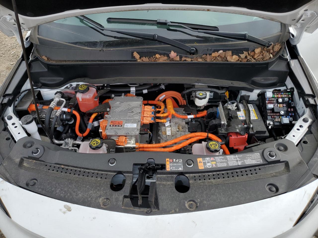 2023 CHEVROLET BOLT EUV LT VIN:1G1FY6S03P4133477