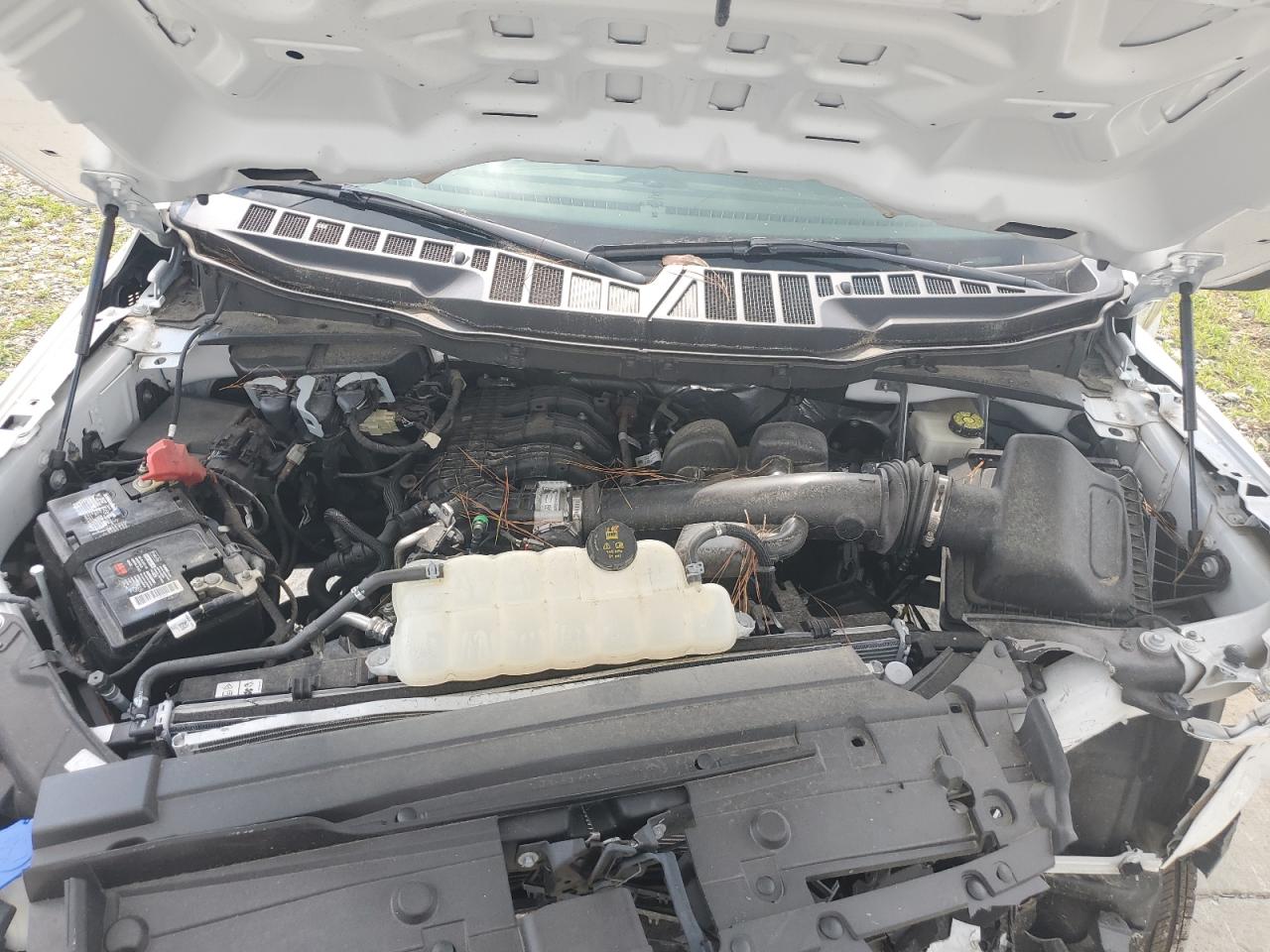 2022 FORD F150  VIN:1FTMF1CB1NKE65448