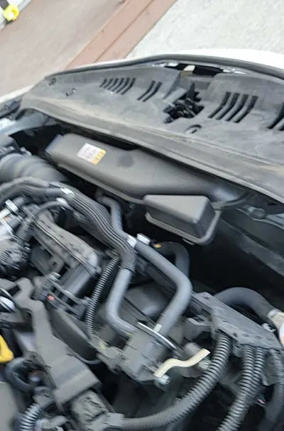 2019 Toyota Camry JTNB21HK9K3047880 VIN:JTNB21HK9K3047880
