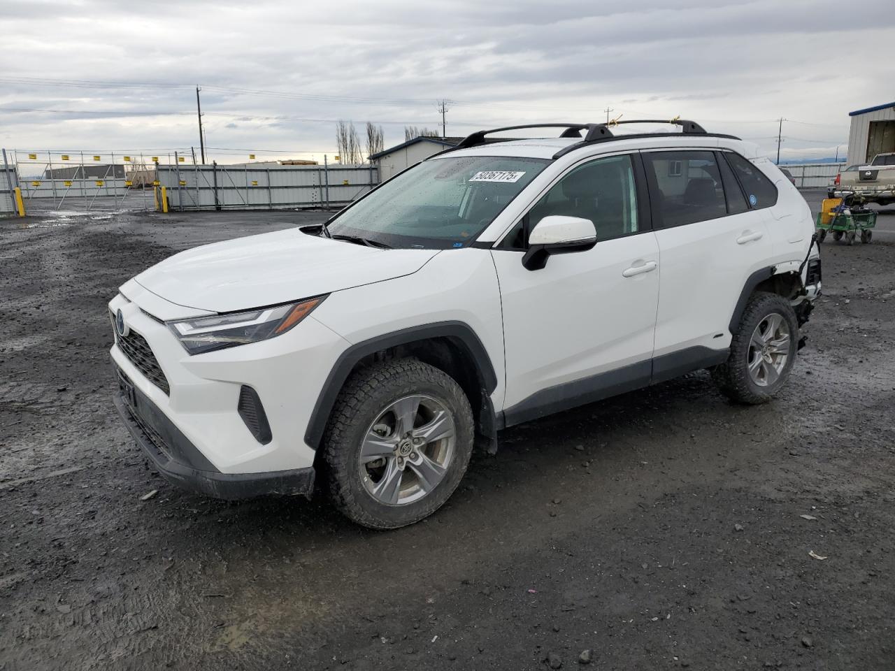 2024 TOYOTA RAV4 LE VIN:4T3MWRFV8RU139809