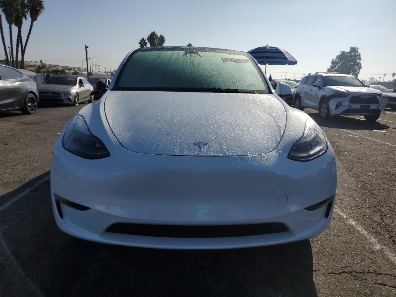 2023 TESLA MODEL Y  VIN:7SAYGDEE7PF765439