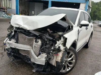 2021 Kia Sorento KNARF81BGMA104673 VIN:KNARF81BGMA104673