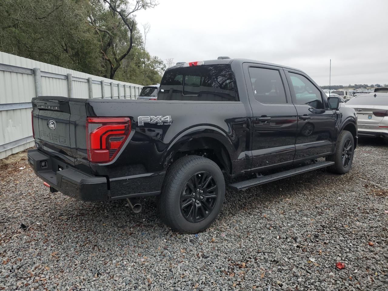 2024 FORD F150 PLATINUM VIN:1FTFW7L8XRFA82719