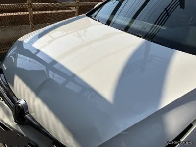 2016 Volkswagen Golf WVWZZZAUZGW261498 VIN:WVWZZZAUZGW261498