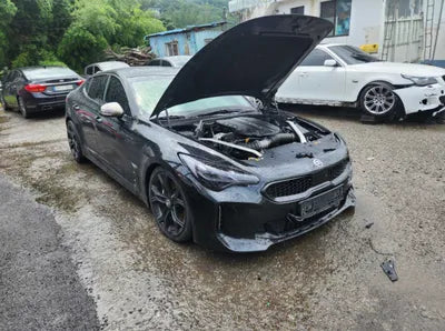 2018 Kia Stinger KNAE351BDJS001668 VIN:KNAE351BDJS001668