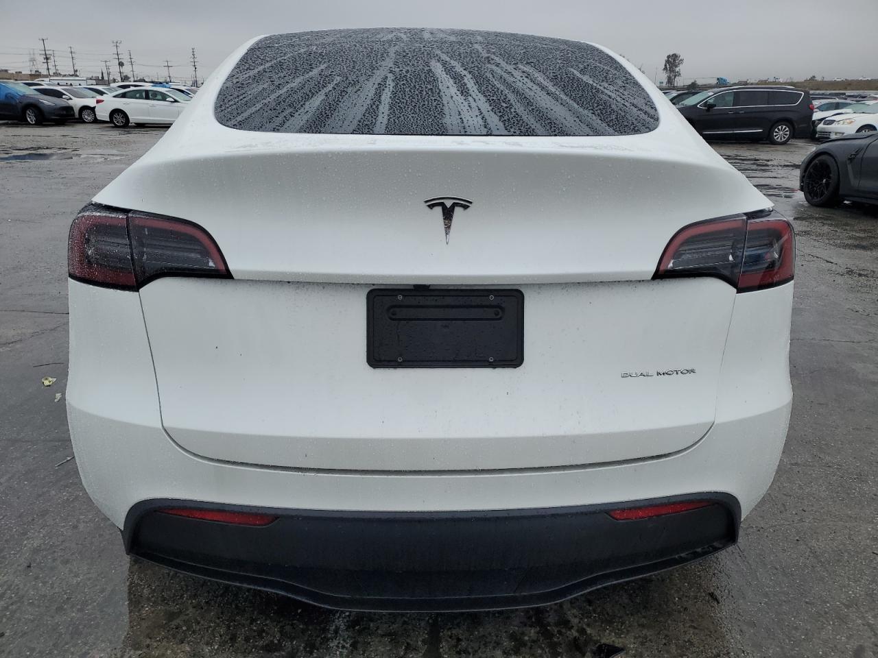 2024 TESLA MODEL Y  VIN:7SAYGDEE8RF167265