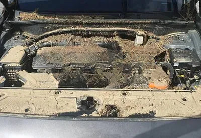 2022 Hyundai Santa FE NONE VIN: